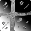 Caks_logs_av_140