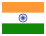 INR currency flag