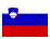 SIT currency flag