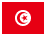 TND currency flag