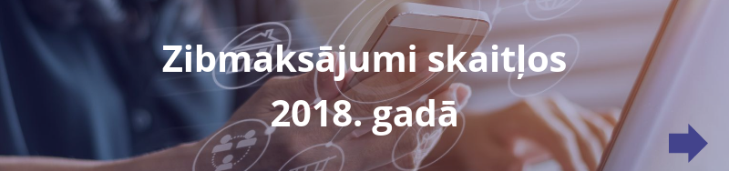 Zibmaksajumu statistika 2018 attels