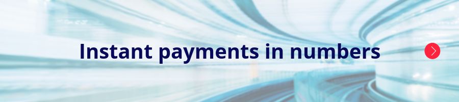 instant payments in numbers 002