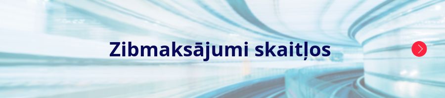 zibmaksajumi skaitlos 002